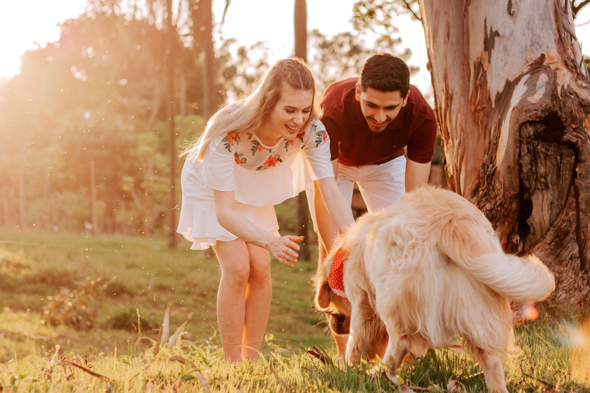 Couple playing with their dog golden retriever